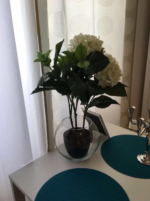 Apartment 1 Center Коимбра Екстериор снимка